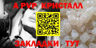 гашик Кимры