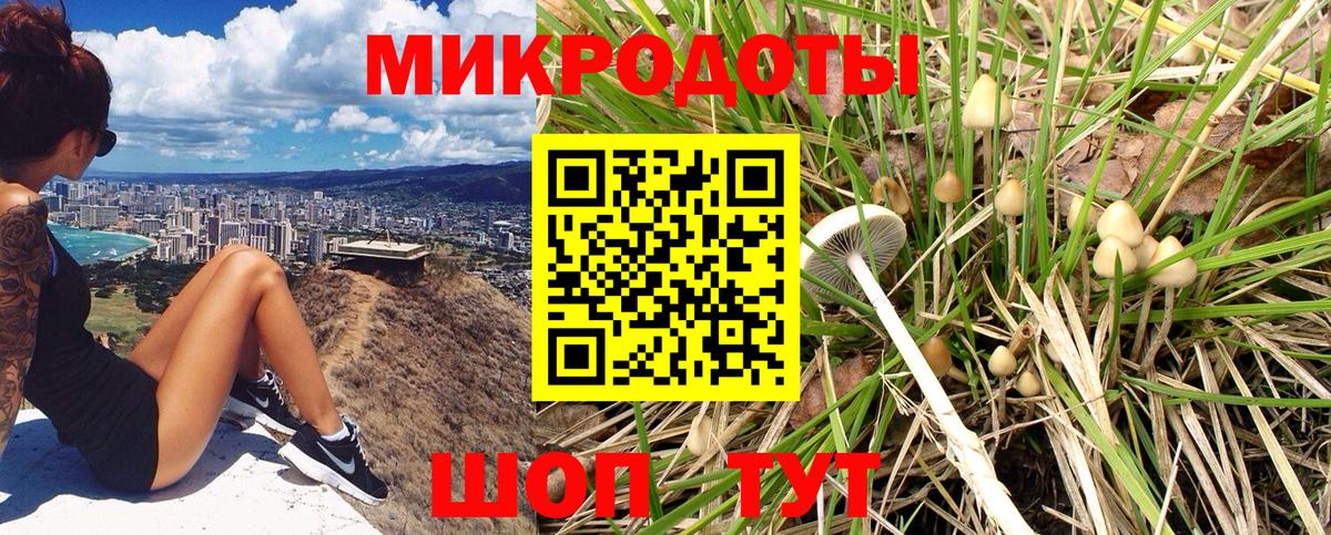 Галлюциногенные грибы мухоморы  купить   Красный Сулин  Галлюциногенные грибы Cubensis  Вход с VPN 